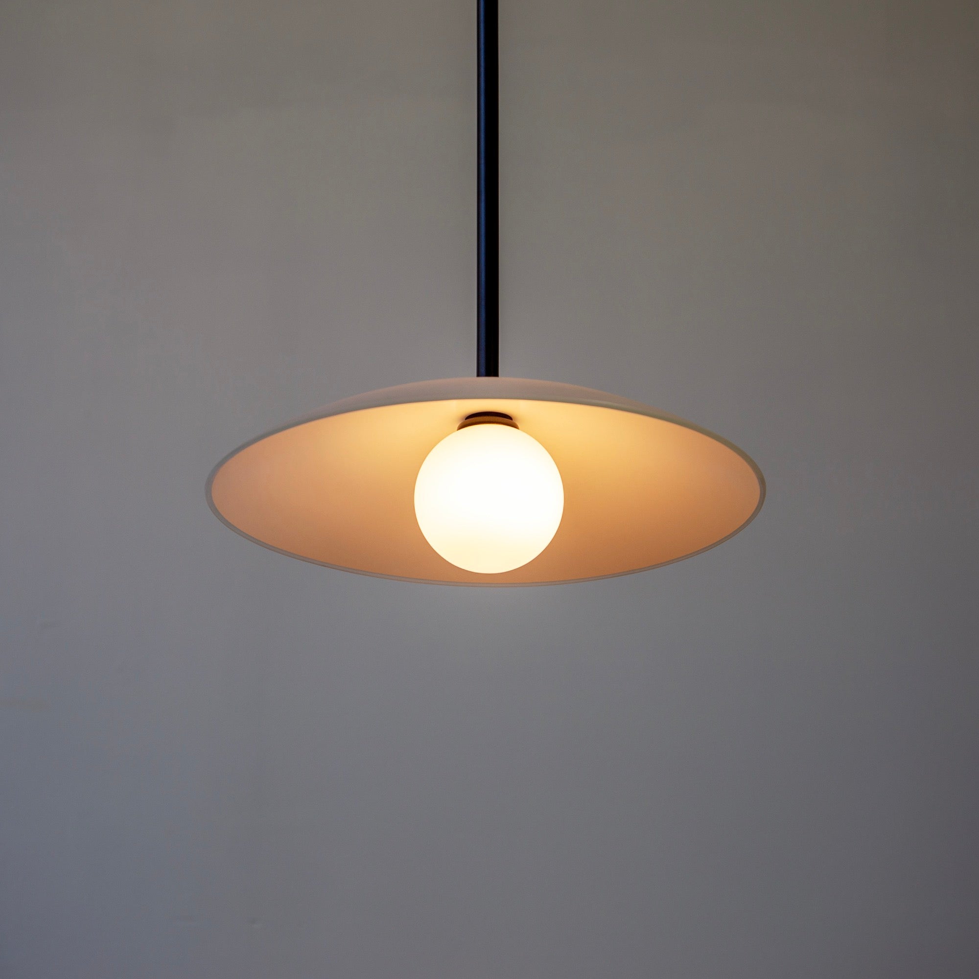 Dish Pendant Light